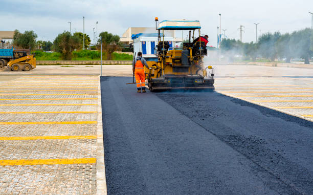 Best Local Driveway Pavers  in Hampton, AR
