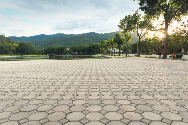 Best Driveway Pavers Contractor  in Hampton, AR